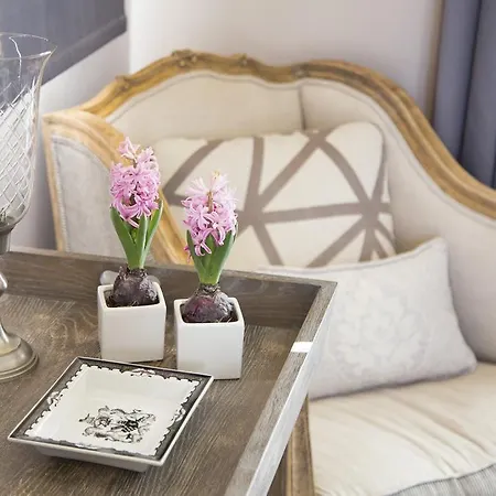 فندق The Y 4*
